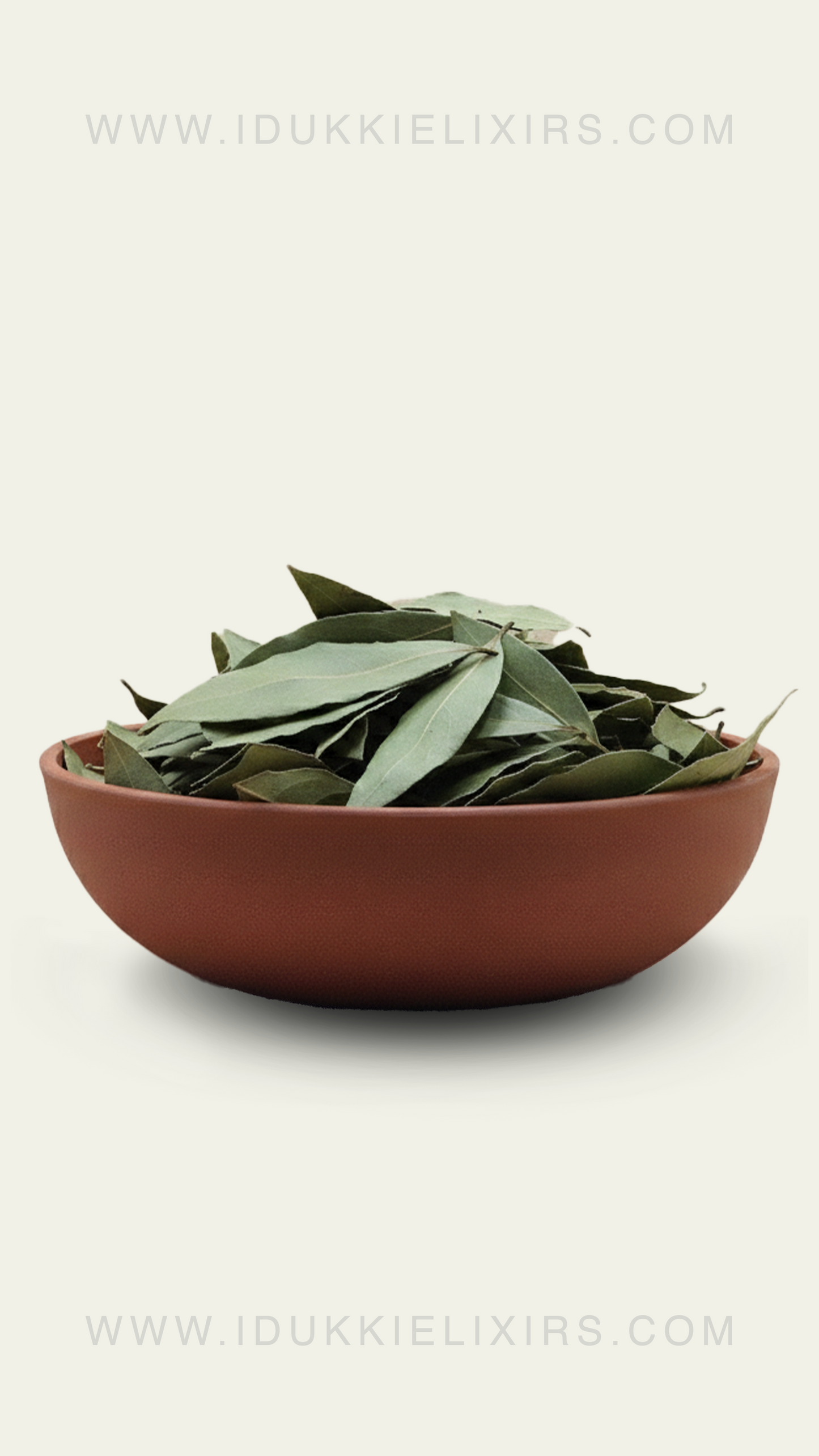 Bay Leaf Dried