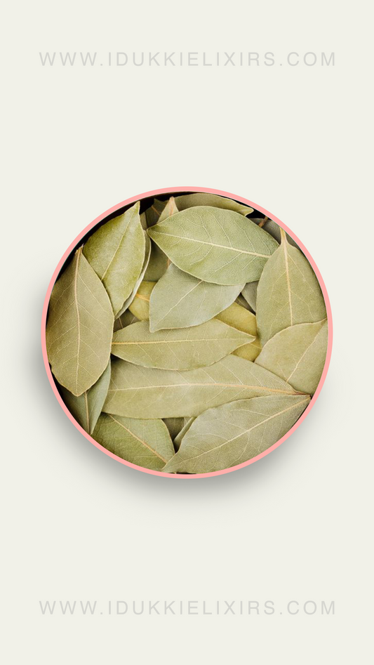 Bay Leaf Dried