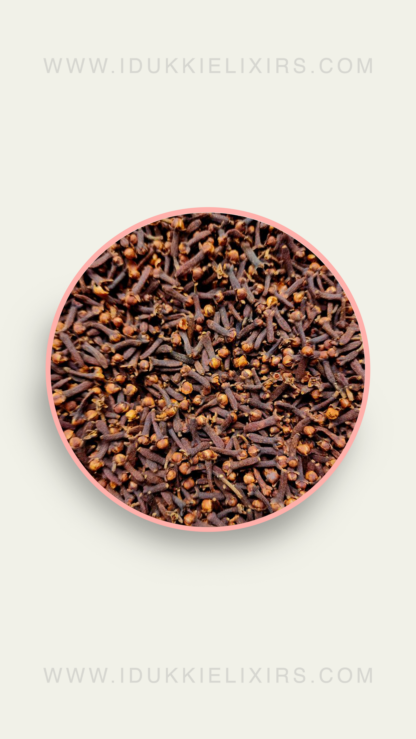Clove