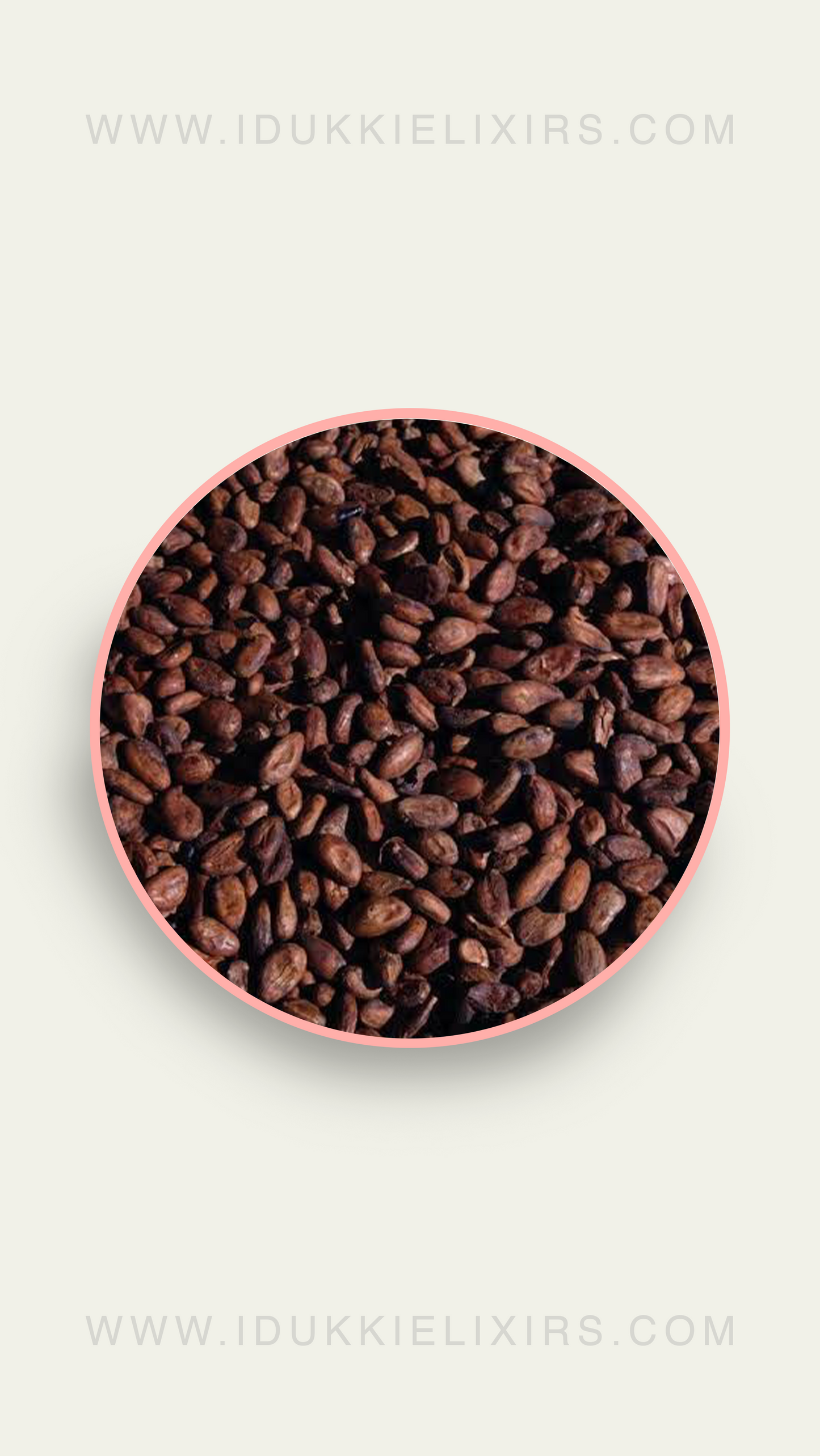 Coco Beans Dried