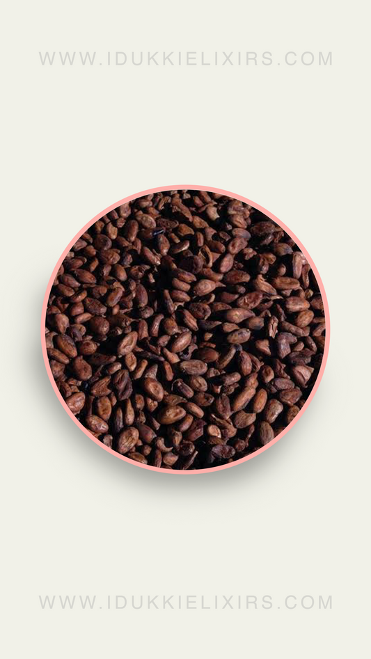 Coco Beans Dried