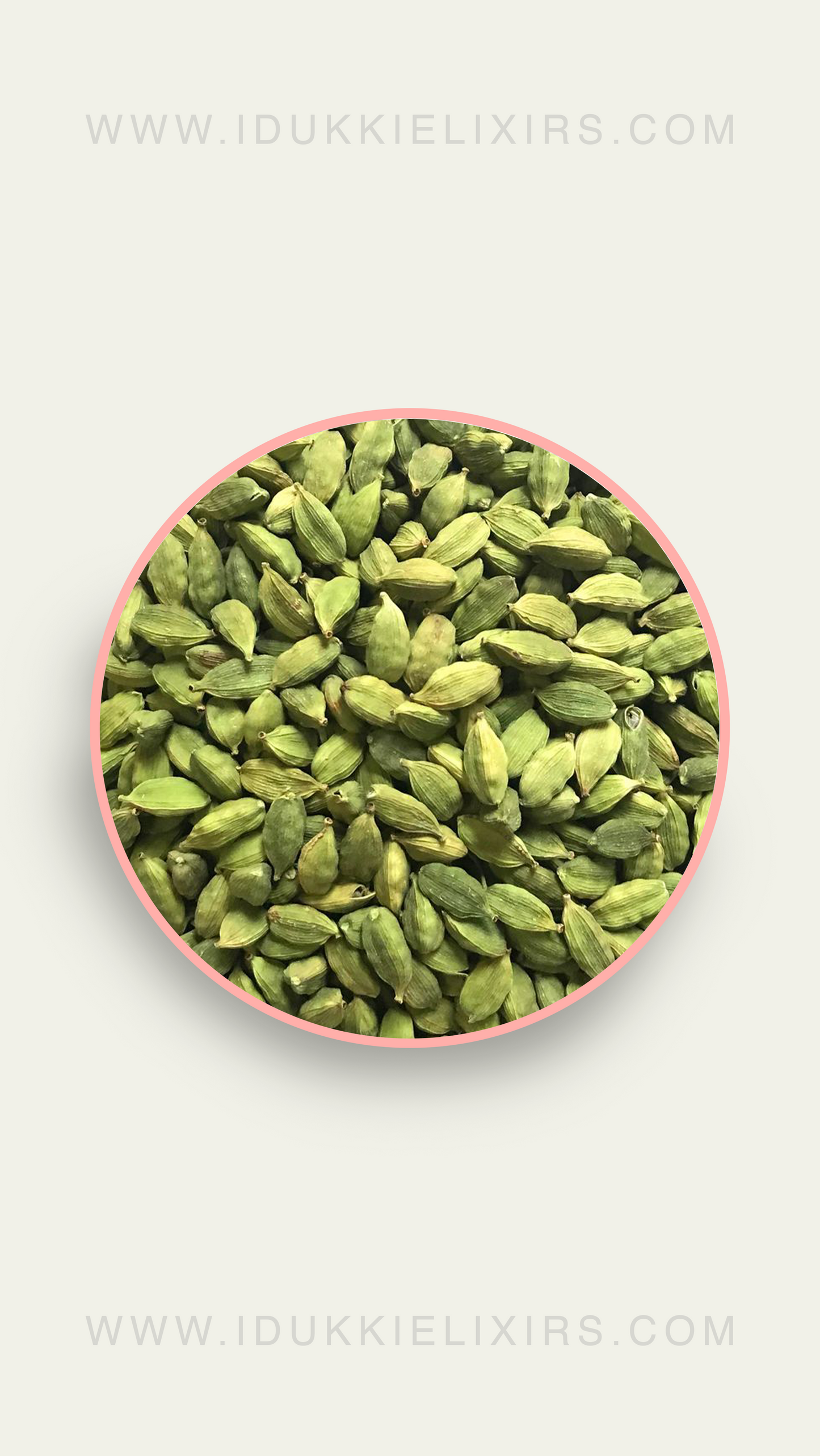 Green Cardamom