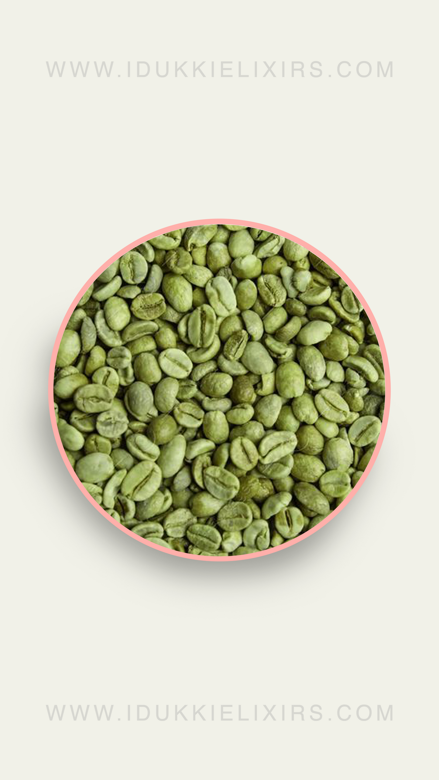 Green Coffee Beans
