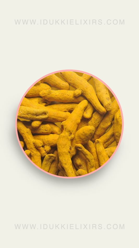 Turmeric Whole Dried