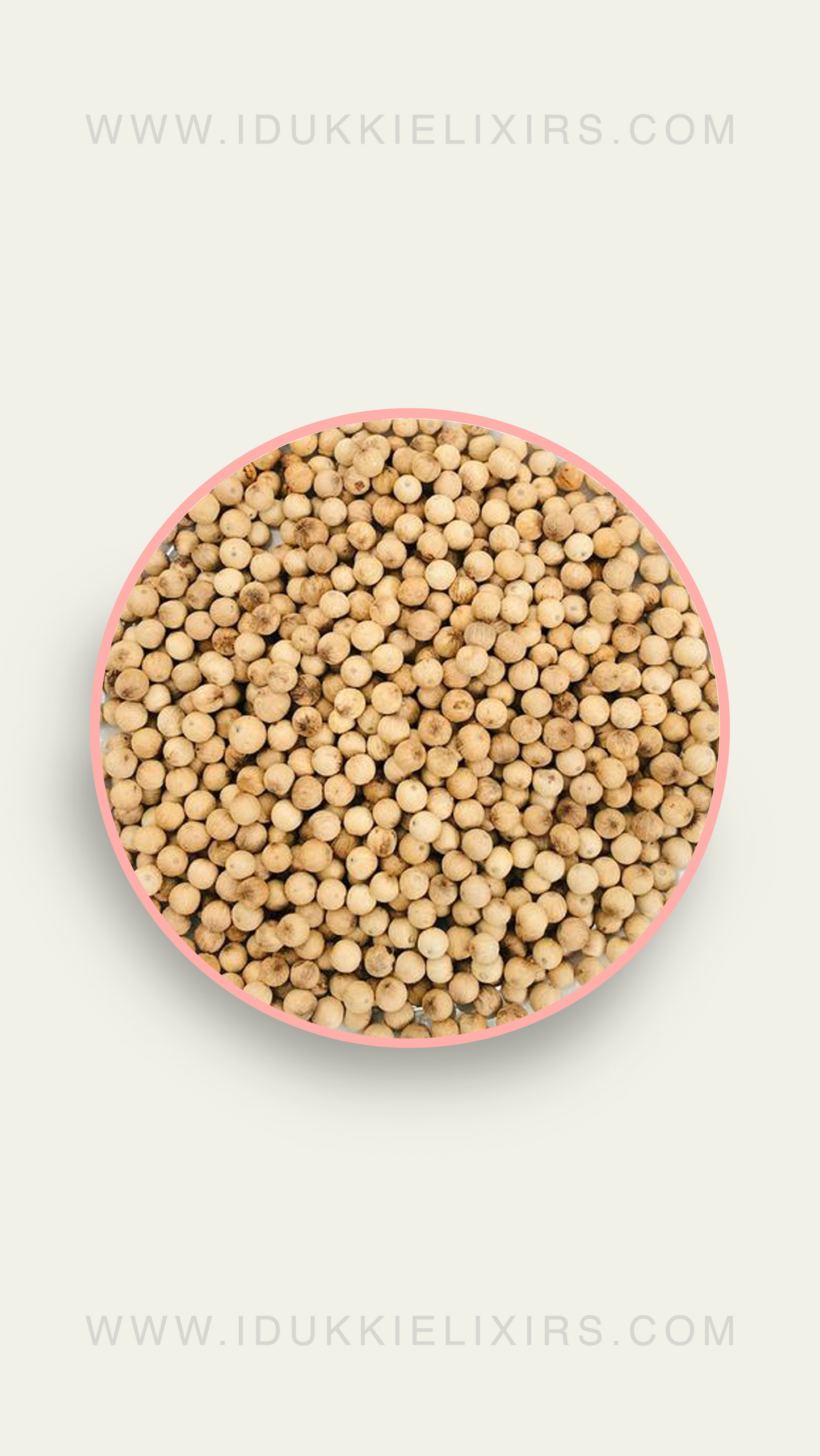 White Pepper