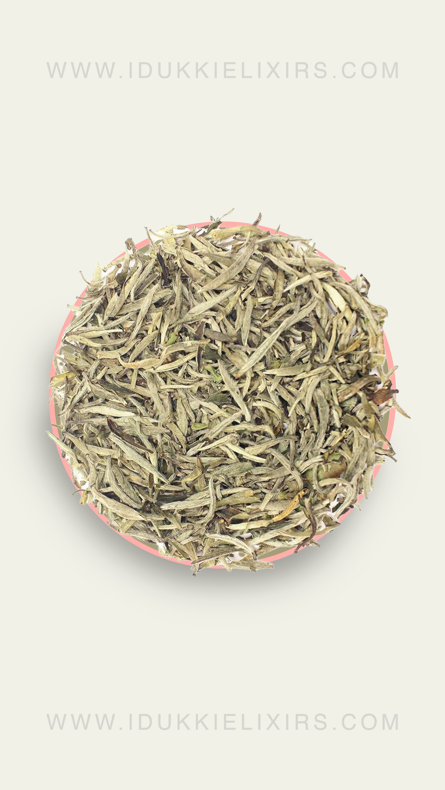 White Tea