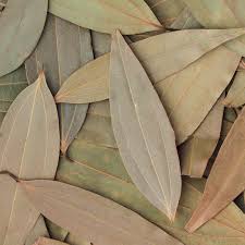 Bay Leaf Dried